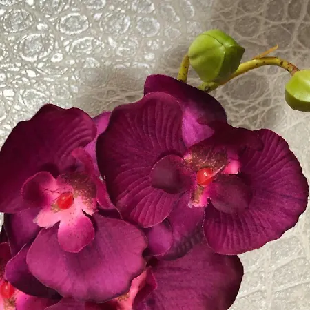 Th39 Trend Bad Vilbel