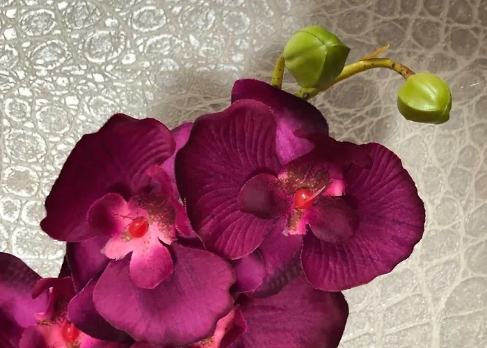 Th39 Trend Bad Vilbel